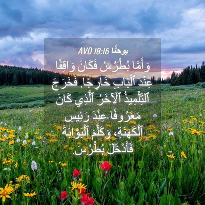 Picture 04 - يوحنَّا 18:16 AVD - وَأَمَّا بُطْرُسُ فَكَانَ - Bible Verse Picture