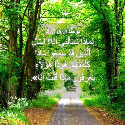 Picture 04 - يوحنَّا 18:21 AVD - لِمَاذَا تَسْأَلُنِي - Bible Verse Picture