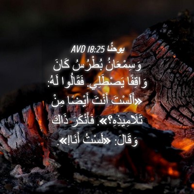 Picture 04 - يوحنَّا 18:25 AVD - وَسِمْعَانُ بُطْرُسُ - Bible Verse Picture