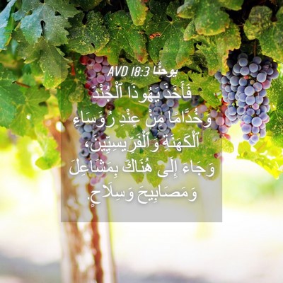 Picture 04 - يوحنَّا 18:3 AVD - فَأَخَذَ يَهُوذَا - Bible Verse Picture