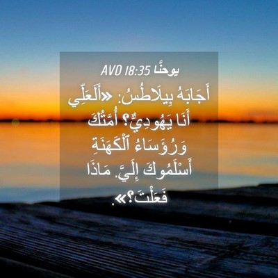 Picture 04 - يوحنَّا 18:35 AVD - أَجَابَهُ بِيلَاطُسُ: - Bible Verse Picture