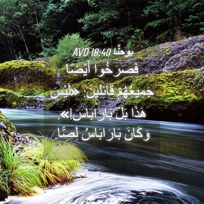 Picture 04 - يوحنَّا 18:40 AVD - فَصَرَخُوا أَيْضًا - Bible Verse Picture