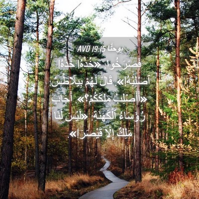 Picture 04 - يوحنَّا 19:15 AVD - فَصَرَخُوا: «خُذْهُ! - Bible Verse Picture