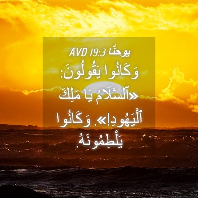 Picture 04 - يوحنَّا 19:3 AVD - وَكَانُوا يَقُولُونَ: - Bible Verse Picture