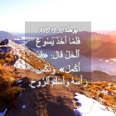 Picture 04 - يوحنَّا 19:30 AVD - فَلَمَّا أَخَذَ يَسُوعُ - Bible Verse Picture