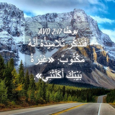 Picture 04 - يوحنَّا 2:17 AVD - فَتَذَكَّرَ تَلَامِيذُهُ - Bible Verse Picture