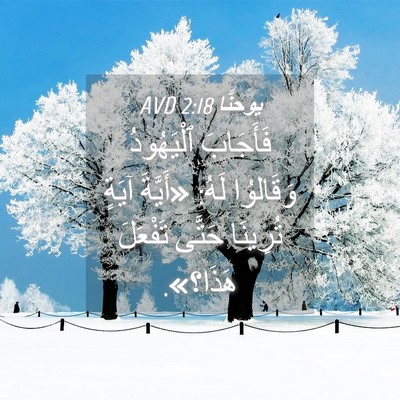 Picture 04 - يوحنَّا 2:18 AVD - فَأَجَابَ ٱلْيَهُودُ - Bible Verse Picture