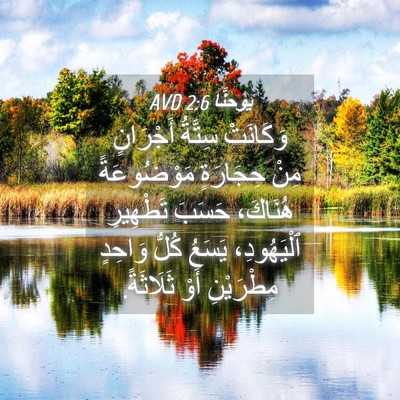 Picture 04 - يوحنَّا 2:6 AVD - وَكَانَتْ سِتَّةُ - Bible Verse Picture