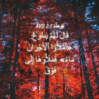 Picture 04 - يوحنَّا 2:7 AVD - قَالَ لَهُمْ يَسُوعُ: - Bible Verse Picture