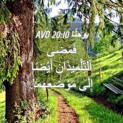 Picture 04 - يوحنَّا 20:10 AVD - فَمَضَى ٱلتِّلْمِيذَانِ - Bible Verse Picture