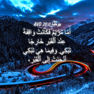 Picture 04 - يوحنَّا 20:11 AVD - أَمَّا مَرْيَمُ فَكَانَتْ - Bible Verse Picture