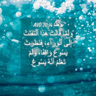 Picture 04 - يوحنَّا 20:14 AVD - وَلَمَّا قَالَتْ هَذَا - Bible Verse Picture