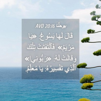 Picture 04 - يوحنَّا 20:16 AVD - قَالَ لَهَا يَسُوعُ: «يَا - Bible Verse Picture