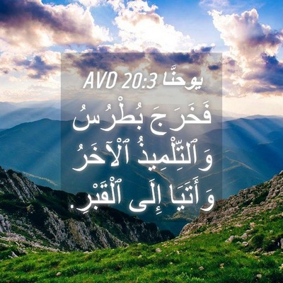 Picture 04 - يوحنَّا 20:3 AVD - فَخَرَجَ بُطْرُسُ - Bible Verse Picture