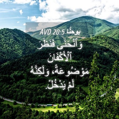 Picture 04 - يوحنَّا 20:5 AVD - وَٱنْحَنَى فَنَظَرَ - Bible Verse Picture