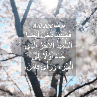 Picture 04 - يوحنَّا 20:8 AVD - فَحِينَئِذٍ دَخَلَ - Bible Verse Picture