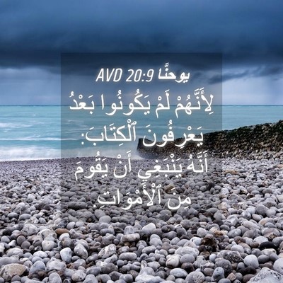 Picture 04 - يوحنَّا 20:9 AVD - لِأَنَّهُمْ لَمْ - Bible Verse Picture