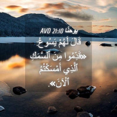 Picture 04 - يوحنَّا 21:10 AVD - قَالَ لَهُمْ يَسُوعُ: - Bible Verse Picture