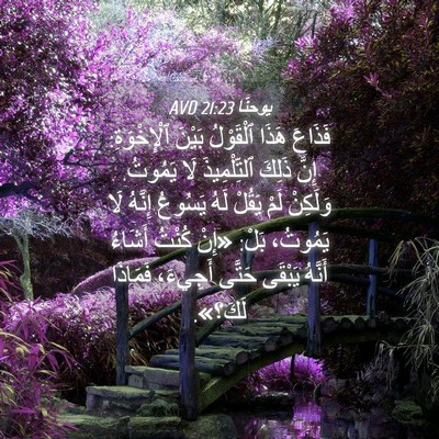 Picture 04 - يوحنَّا 21:23 AVD - فَذَاعَ هَذَا ٱلْقَوْلُ - Bible Verse Picture
