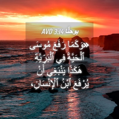 Picture 04 - يوحنَّا 3:14 AVD - «وَكَمَا رَفَعَ مُوسَى - Bible Verse Picture