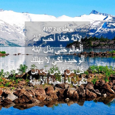 Picture 04 - يوحنَّا 3:16 AVD - لِأَنَّهُ هَكَذَا أَحَبَّ - Bible Verse Picture