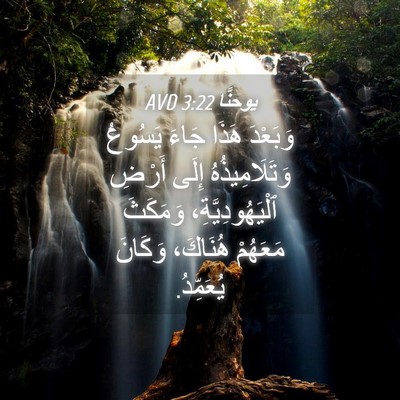 Picture 04 - يوحنَّا 3:22 AVD - وَبَعْدَ هَذَا جَاءَ - Bible Verse Picture