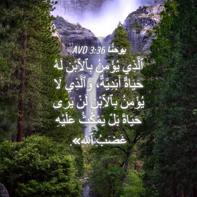 Picture 04 - يوحنَّا 3:36 AVD - ٱلَّذِي يُؤْمِنُ - Bible Verse Picture