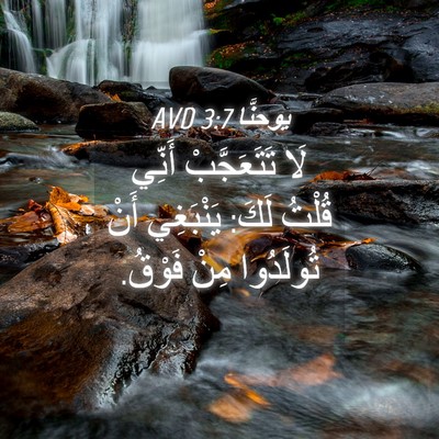 Picture 04 - يوحنَّا 3:7 AVD - لَا تَتَعَجَّبْ أَنِّي - Bible Verse Picture