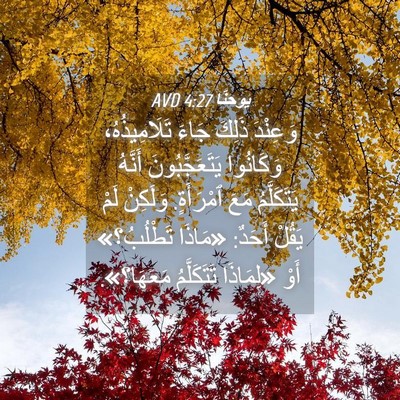 Picture 04 - يوحنَّا 4:27 AVD - وَعِنْدَ ذَلِكَ جَاءَ - Bible Verse Picture