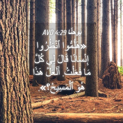 Picture 04 - يوحنَّا 4:29 AVD - «هَلُمُّوا ٱنْظُرُوا - Bible Verse Picture