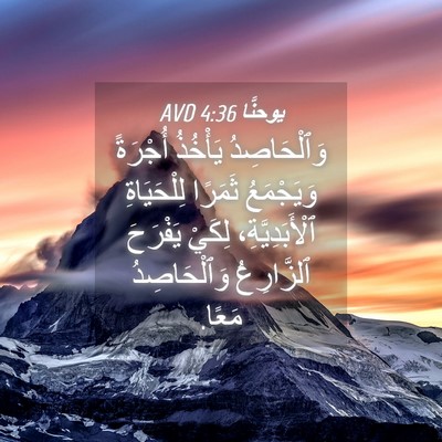 Picture 04 - يوحنَّا 4:36 AVD - وَٱلْحَاصِدُ يَأْخُذُ - Bible Verse Picture