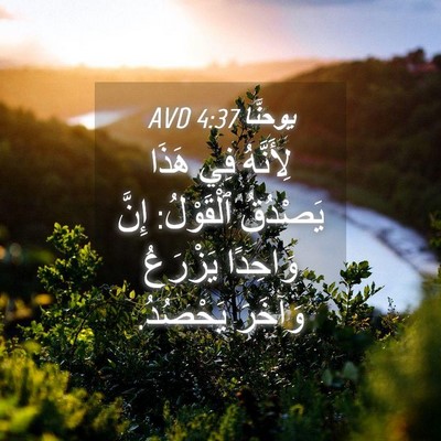 Picture 04 - يوحنَّا 4:37 AVD - لِأَنَّهُ فِي هَذَا - Bible Verse Picture
