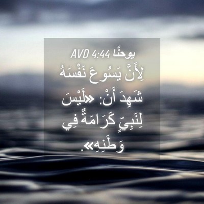 Picture 04 - يوحنَّا 4:44 AVD - لِأَنَّ يَسُوعَ نَفْسَهُ - Bible Verse Picture