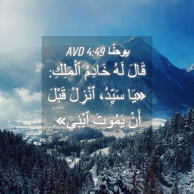 Picture 04 - يوحنَّا 4:49 AVD - قَالَ لَهُ خَادِمُ - Bible Verse Picture