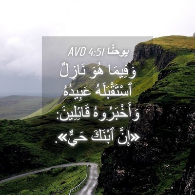 Picture 04 - يوحنَّا 4:51 AVD - وَفِيمَا هُوَ نَازِلٌ - Bible Verse Picture