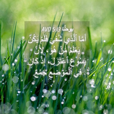 Picture 04 - يوحنَّا 5:13 AVD - أَمَّا ٱلَّذِي شُفِيَ - Bible Verse Picture