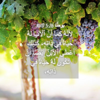 Picture 04 - يوحنَّا 5:26 AVD - لِأَنَّهُ كَمَا أَنَّ - Bible Verse Picture
