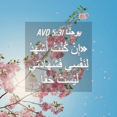 Picture 04 - يوحنَّا 5:31 AVD - «إِنْ كُنْتُ أَشْهَدُ - Bible Verse Picture