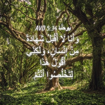 Picture 04 - يوحنَّا 5:34 AVD - وَأَنَا لَا أَقْبَلُ - Bible Verse Picture