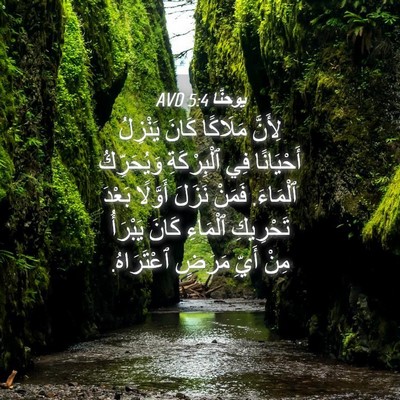 Picture 04 - يوحنَّا 5:4 AVD - لِأَنَّ مَلَاكًا كَانَ - Bible Verse Picture