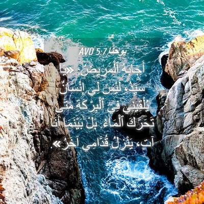 Picture 04 - يوحنَّا 5:7 AVD - أَجَابَهُ ٱلْمَرِيضُ: «يَا - Bible Verse Picture