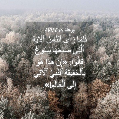 Picture 04 - يوحنَّا 6:14 AVD - فَلَمَّا رَأَى ٱلنَّاسُ - Bible Verse Picture