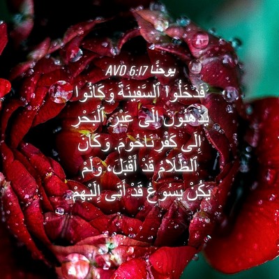 Picture 04 - يوحنَّا 6:17 AVD - فَدَخَلُوا ٱلسَّفِينَةَ - Bible Verse Picture
