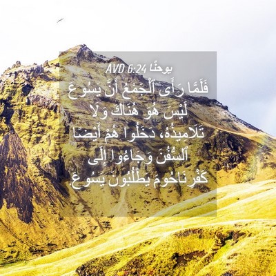 Picture 04 - يوحنَّا 6:24 AVD - فَلَمَّا رَأَى ٱلْجَمْعُ - Bible Verse Picture