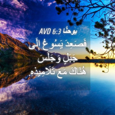 Picture 04 - يوحنَّا 6:3 AVD - فَصَعِدَ يَسُوعُ إِلَى - Bible Verse Picture