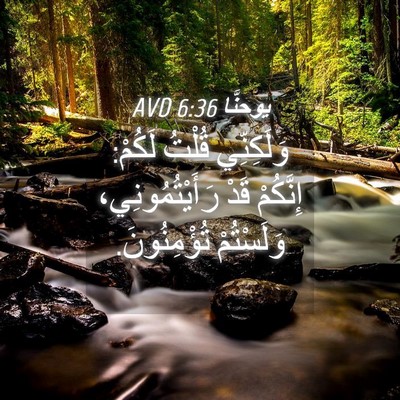 Picture 04 - يوحنَّا 6:36 AVD - وَلَكِنِّي قُلْتُ لَكُمْ: - Bible Verse Picture