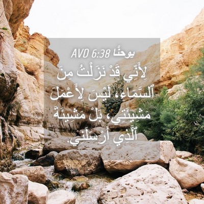 Picture 04 - يوحنَّا 6:38 AVD - لِأَنِّي قَدْ نَزَلْتُ - Bible Verse Picture