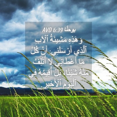 Picture 04 - يوحنَّا 6:39 AVD - وَهَذِهِ مَشِيئَةُ ٱلْآبِ - Bible Verse Picture