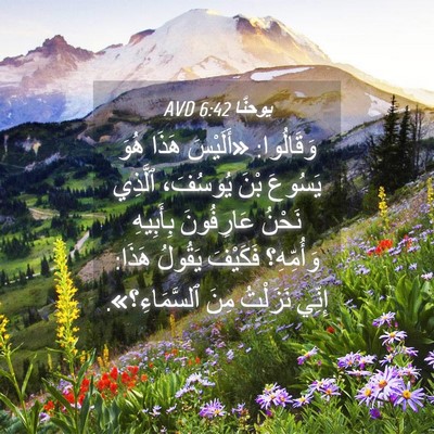 Picture 04 - يوحنَّا 6:42 AVD - وَقَالُوا: «أَلَيْسَ هَذَا - Bible Verse Picture
