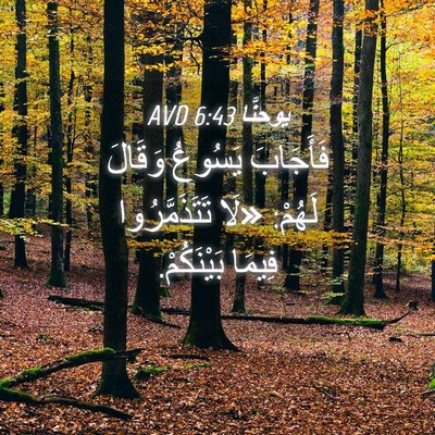 Picture 04 - يوحنَّا 6:43 AVD - فَأَجَابَ يَسُوعُ وَقَالَ - Bible Verse Picture